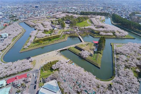 五稜郭タワーから見た五稜郭公園（４月頃撮影/イメージ）